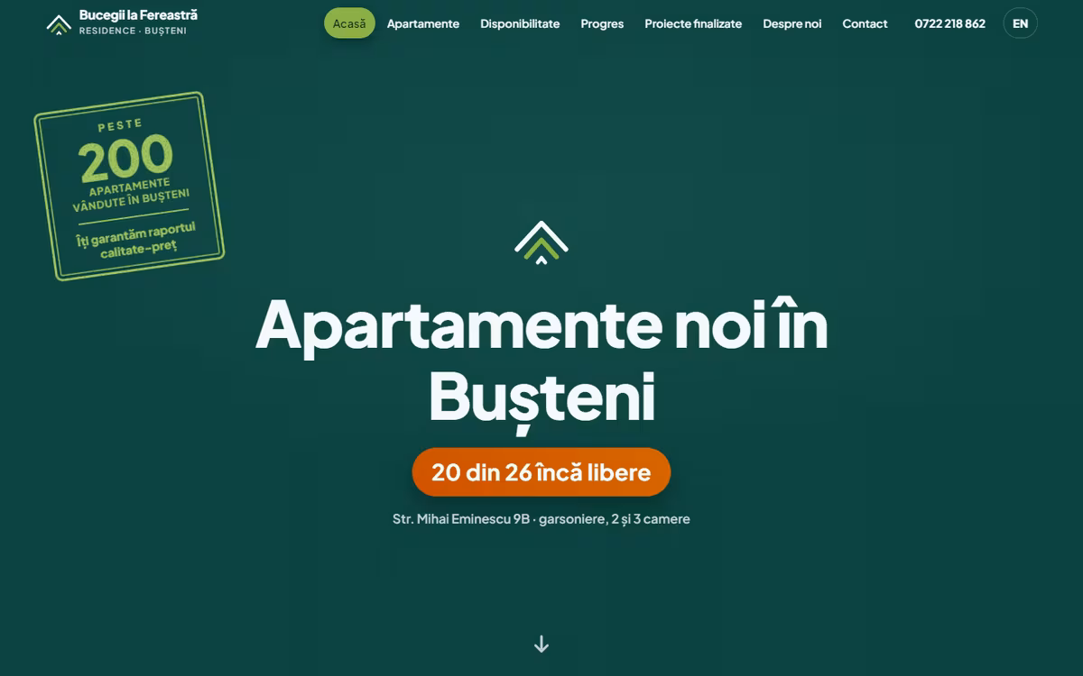 Site pentru ansamblul Bucegii la Fereastră, realizat de Visience