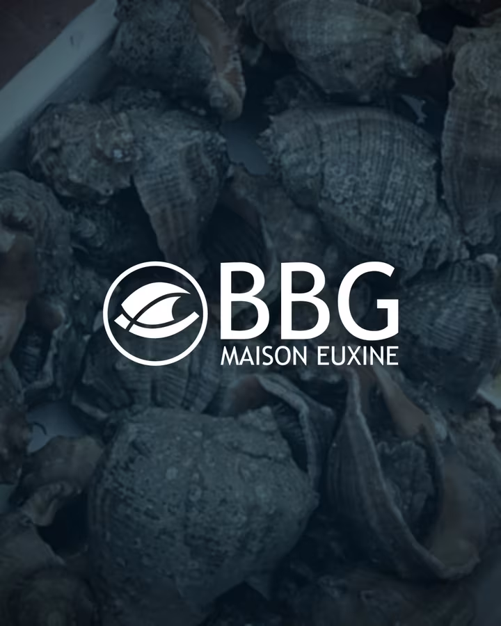 BBG Maison Euxine — Export fructe de mare — material realizat de Visience