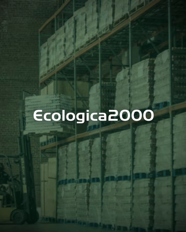 Ecologica 2000 — proiect realizat de Visience