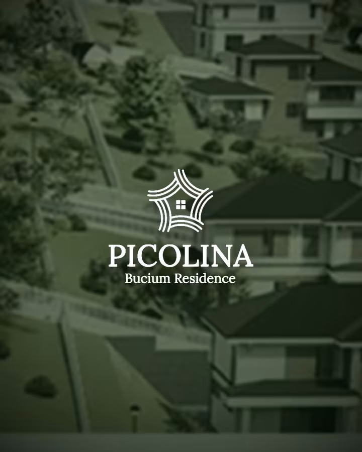 Picolina Bucium — proiect realizat de Visience