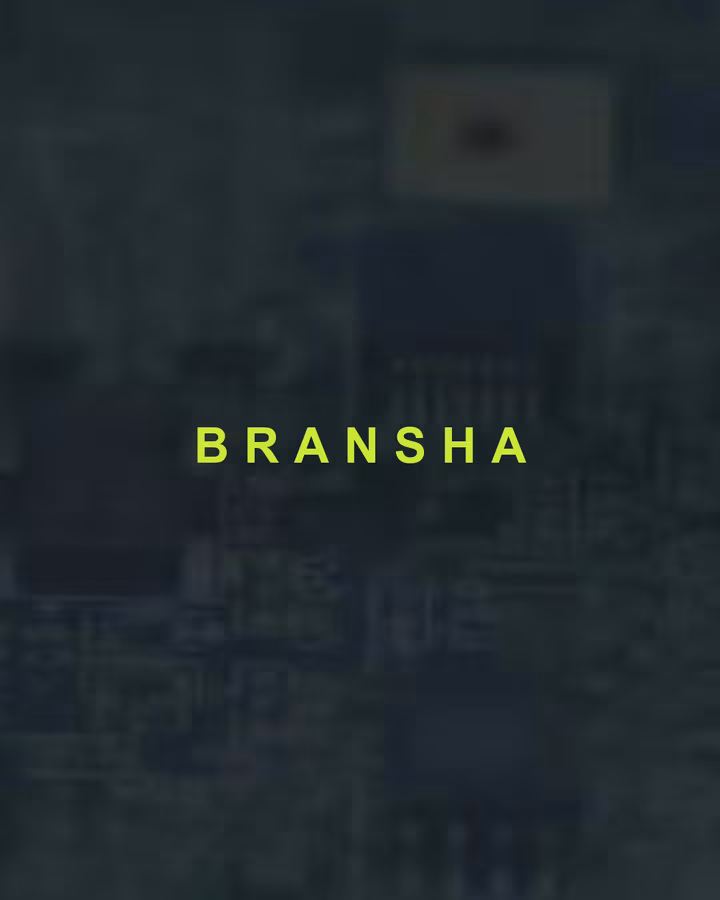 Bransha — project delivered by Visience