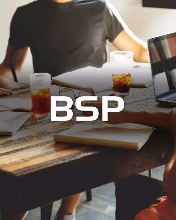 BSP — project delivered by Visience