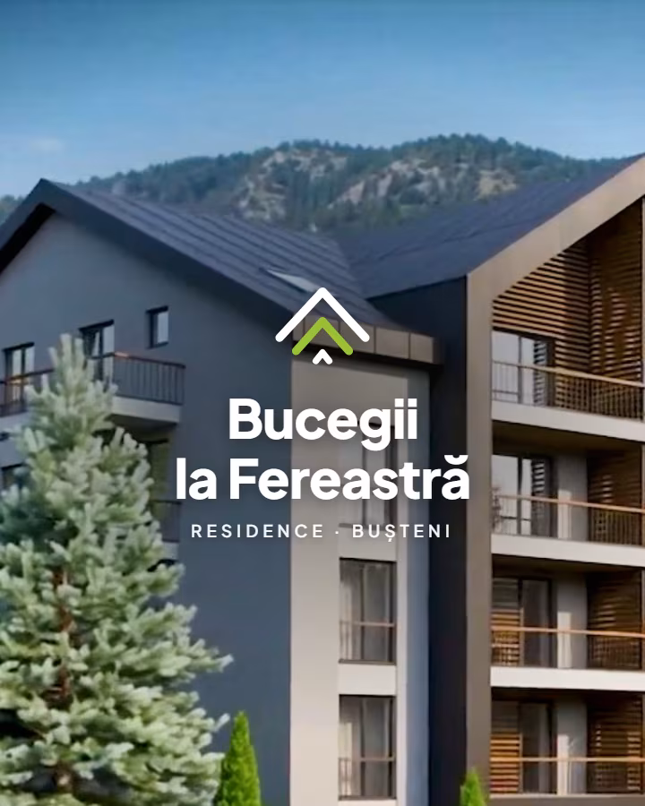 Bucegii la Fereastră — project delivered by Visience