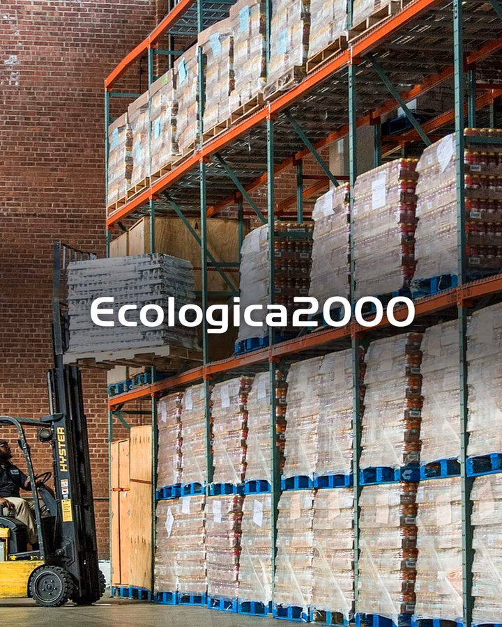 Ecologica 2000 — proiect realizat de Visience