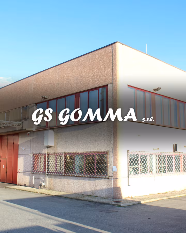 GS Gomma — project delivered by Visience