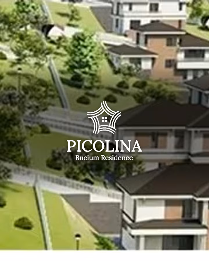 Picolina Bucium — proiect realizat de Visience