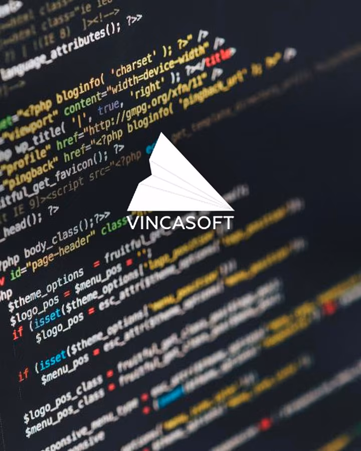 Vincasoft — project delivered by Visience