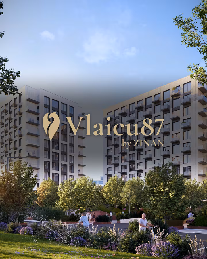 Vlaicu87 — proiect realizat de Visience