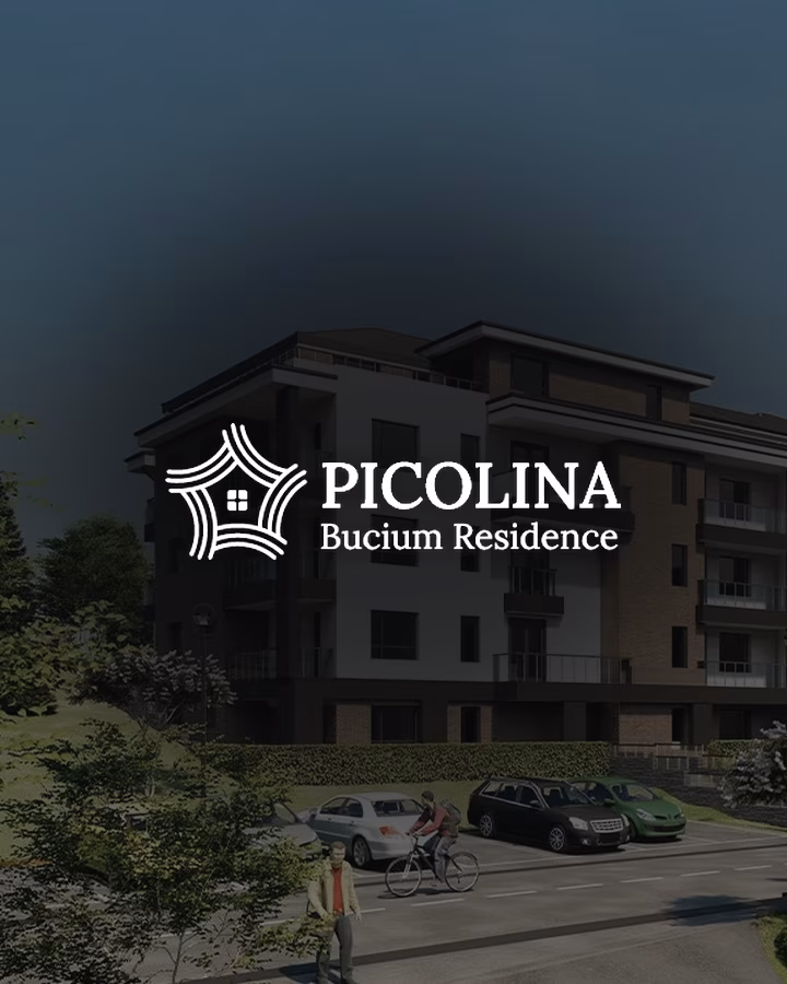 Picolina Bucium — proiect realizat de Visience
