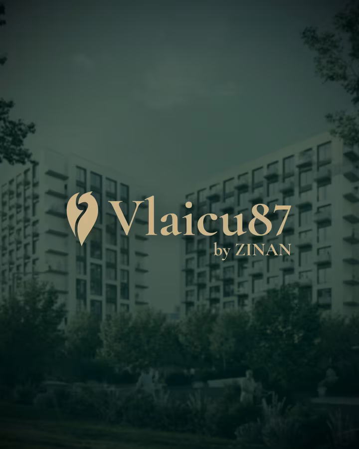 Vlaicu87 — proiect realizat de Visience