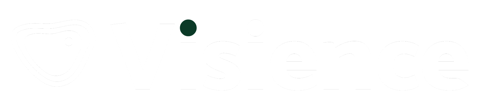 visience-logo