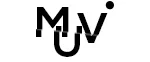 muv visience marketing branding webdesign afacere startup antreprenoriat design development site
